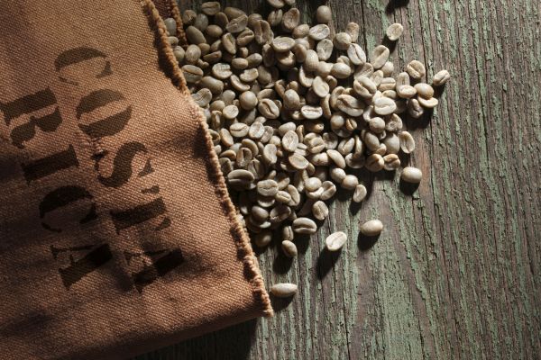 Costa Rica - Finca Cruz Valverde: Full City