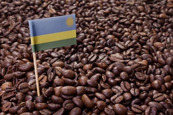 Rwanda - Nyamasheke Gitwe - City Roast