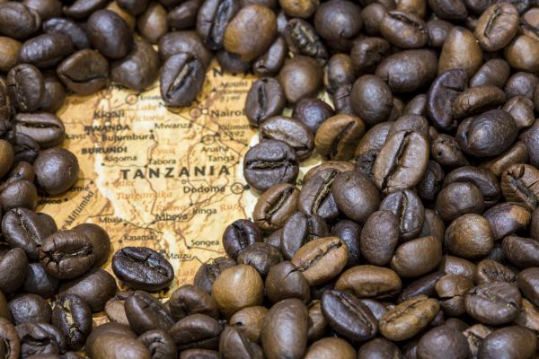 Tanzania Highlands Peaberry: Full City Roast
